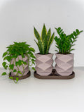 ORIGAMI indoor planter – Geometric Planter for Succulents & Cacti