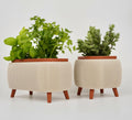 LIVERA Herb Planter Set – Modern Indoor Kitchen Planters with Legs
